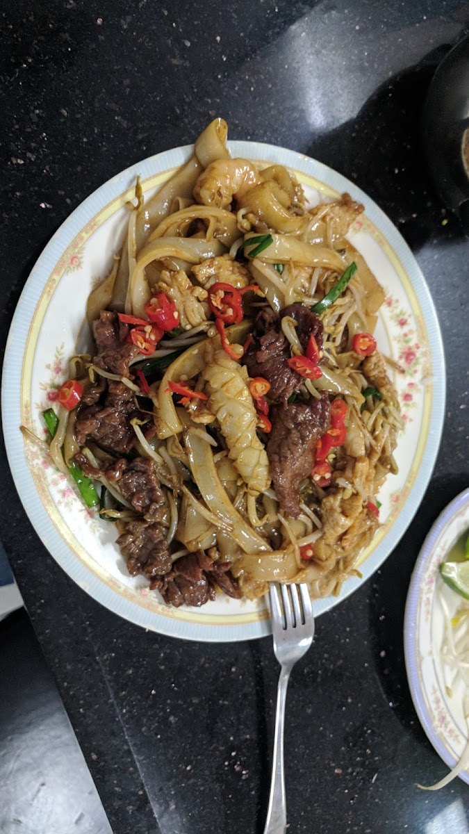 Noodle Soup(Pho) & Fried Noodles
